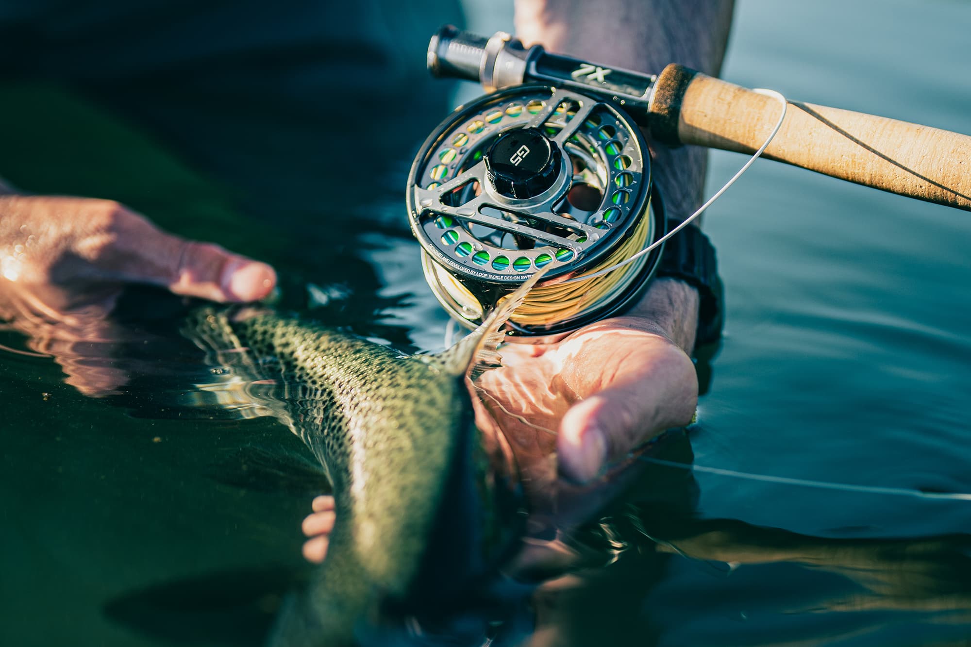 Evotec G5 Reel lifestyle photo