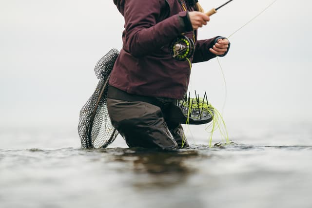 Fly Lines