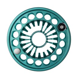 Aurora Turquoise