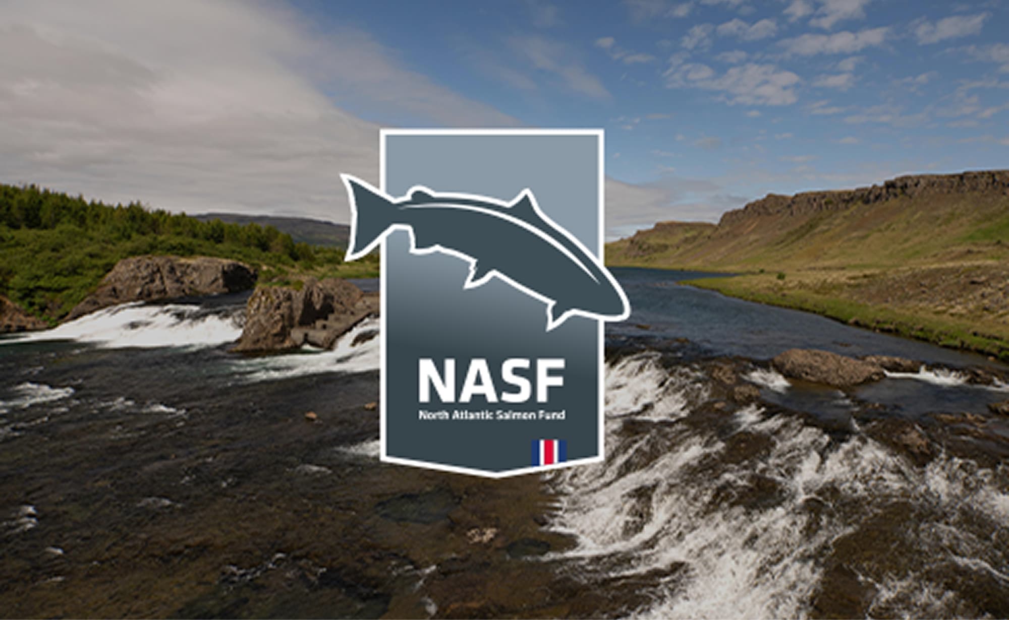NASF
