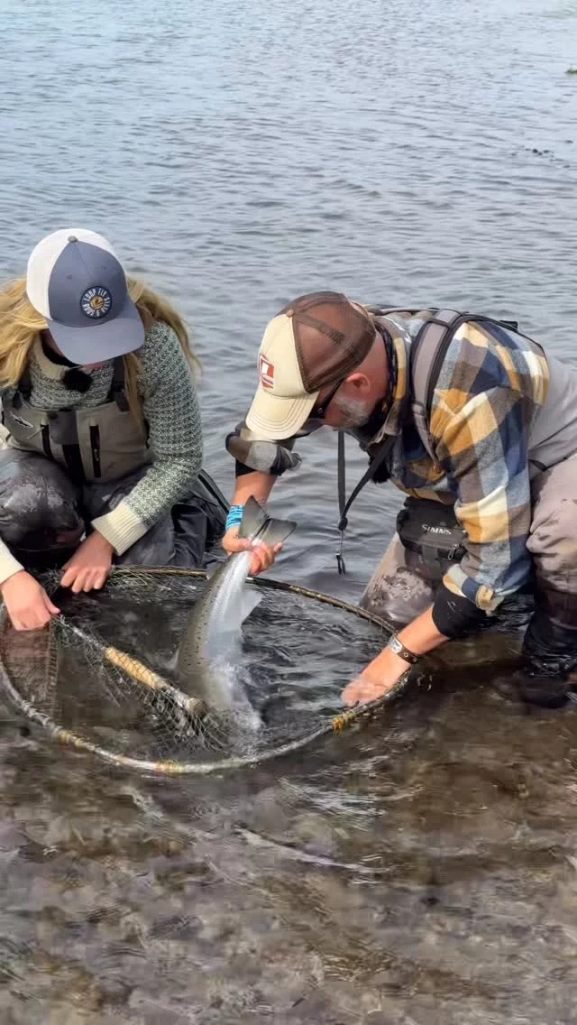 🇮🇸 We are in Iceland filming and fishing with @valgardur.ragnarsson this week. 

Single-handed rods, floating lines, and Sunray Shadows-  bliss!

#looptackle