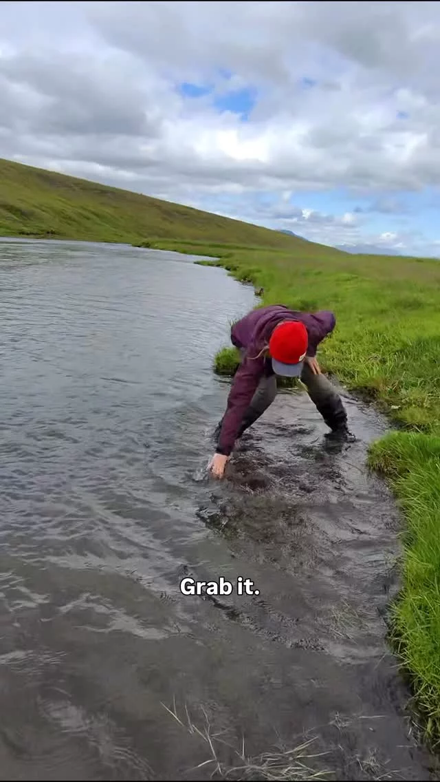 🇮🇸 We are finding the @huseyjarkvisl fish to be very keen to chase flies across the surface! 

Day 2 of filming here with @valgardur.ragnarsson.

He’s fishing a sunray - third time’s a charm 🎣 

#looptackle